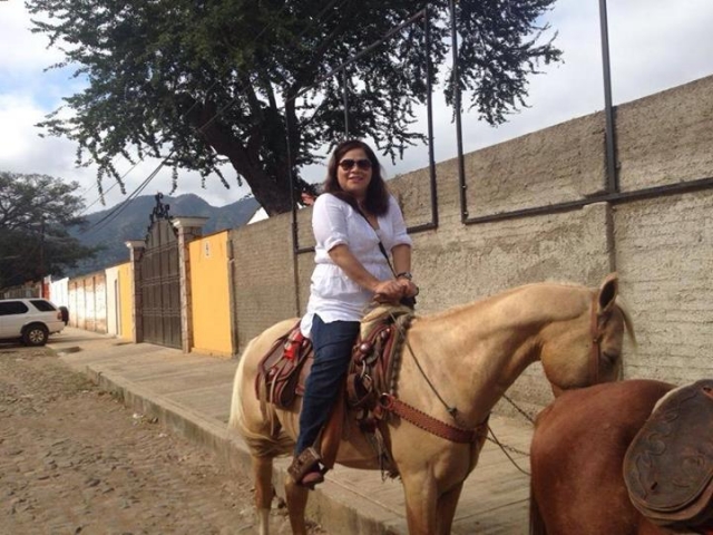 Paseos a caballo